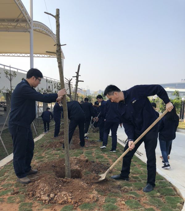 澳门一码一肖100准今期指点